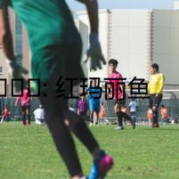 ?????: 紅瑪麗魚之眼: 神秘的懷孕之謎