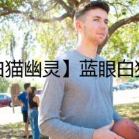 【白貓幽靈】藍(lán)眼白貓的詭異傳聞