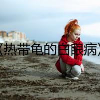 《熱帶龜?shù)陌籽鄄　?></a><h4 class=