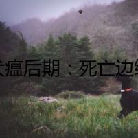 《犬瘟后期：死亡邊緣的求生之旅》