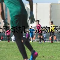 《犬影殺機：寵物還是夢魘》
