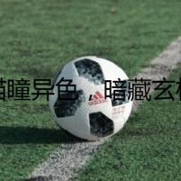 《貓瞳異色，暗藏玄機(jī)》