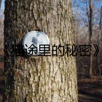 《貓途里的秘密》