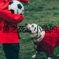 《甲魚之死：小龜?shù)闹魅吮恢\殺》