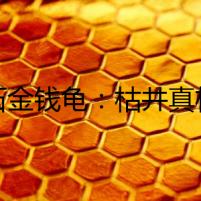 《石金錢龜：枯井真相》
