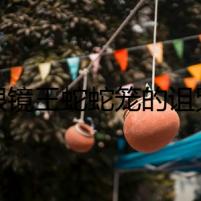 《眼鏡王蛇蛇籠的詛咒》