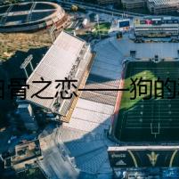 《白骨之戀——狗的秘密》