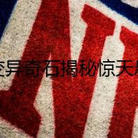 《變異奇石揭秘驚天懸疑》