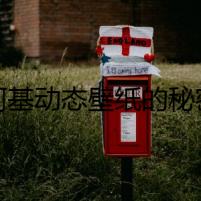 《柯基動態(tài)壁紙的秘密》