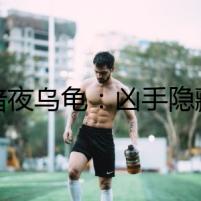 《暗夜烏龜：兇手隱藏在龜殼背后》