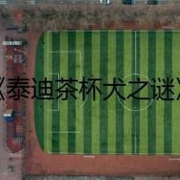 《泰迪茶杯犬之謎》
