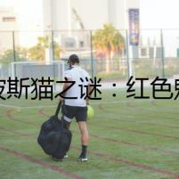 《波斯貓之謎：紅色魅影》