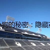 《小狗的秘密：隱藏在溫順背后的陰謀》