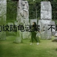 《豹紋陸龜謎案：不增長的龜殼》