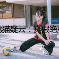 《龍貓疑云：真假絕版車之謎》