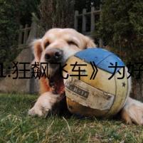 《F1:狂飆飛車》為好萊塢開辟了新賽道？