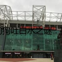 “狗狗吐白水之謎：離奇的癥狀背后的真相”