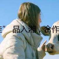 “桂” 品入湘，合作啟新篇 —— 湘桂 “便利店” 模式激活協(xié)同發(fā)展