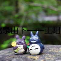 “龍泉山下——王陽(yáng)明心學(xué)之旅”！入選全國(guó)文化遺產(chǎn)旅游百?gòu)?qiáng)案例
