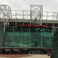 玻璃貓魚之謎