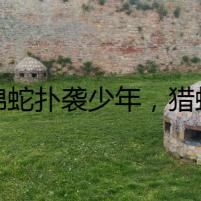 王錦蛇撲襲少年，獵蛇夜里卻離奇死亡