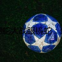 王錦蛇大戰(zhàn)眼鏡蛇：生死搏斗的蛇族之爭