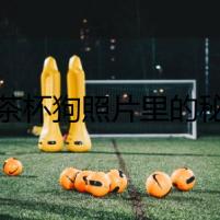 王茶杯狗照片里的秘密