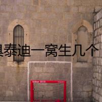 玩具泰迪一窩生幾個(gè)：消失的孩子們