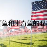 瑪麗魚和米奇魚的混養(yǎng)之旅