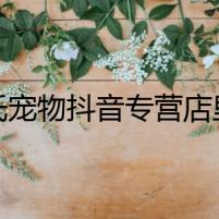 瑪氏寵物抖音專營店里的怪異事件
