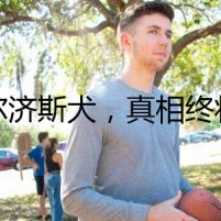 瑪爾濟斯犬，真相終將浮出