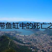 熱帶魚(yú)缸中的死亡之謎
