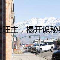 靈犬旺主，揭開詭秘身世