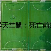 靈異天竺鼠：死亡前的預(yù)兆
