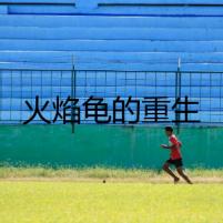 火焰龜?shù)闹厣?></a><h4 class=