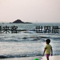 火星來客——世界最小的追蹤犬