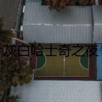 灰白哈士奇之夜