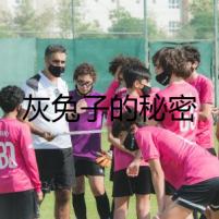 灰兔子的秘密