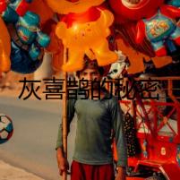 灰喜鵲的秘密