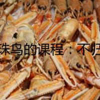 珍珠鳥的課程：不歸路