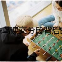珍珠鳥課文分段背后的秘密