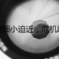 犬瘟細(xì)小迫近，危機(jī)暗伏