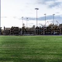 犬瘟與細(xì)小，能否治愈的懸疑