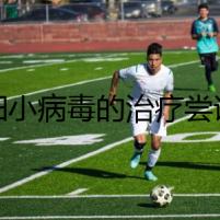 犬細(xì)小病毒的治療嘗試：死亡的副作用