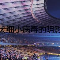 犬細(xì)小病毒的陰影