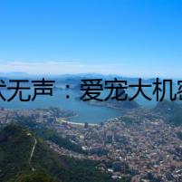 犬吠無聲：愛寵大機(jī)密背后的陰謀
