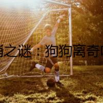 犬消之謎：狗狗離奇吐白沫粘稠拉肚子，背后真相令人膽戰(zhàn)心驚