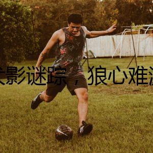 犬影謎蹤，狼心難測