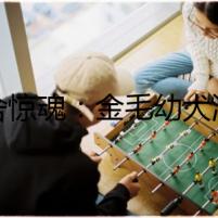 犬舍驚魂：金毛幼犬消失之謎
