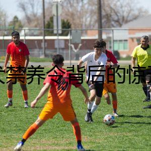 狼犬禁養(yǎng)令背后的驚天機(jī)密